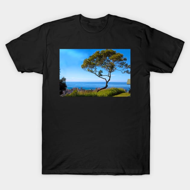 Tree at Punchbowl Hawaii T-Shirt by EileenMcVey